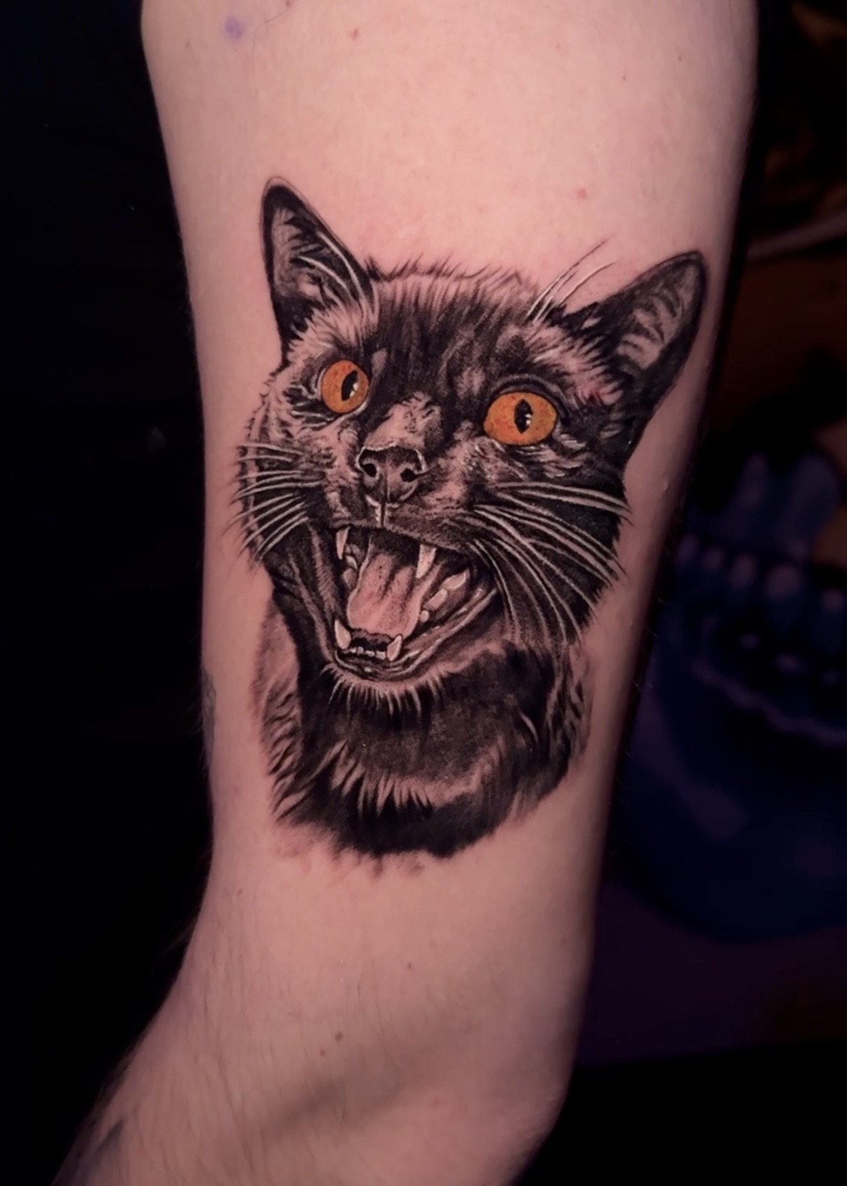 Realistisk svart katt med orange ögon tatuerad på underarmen